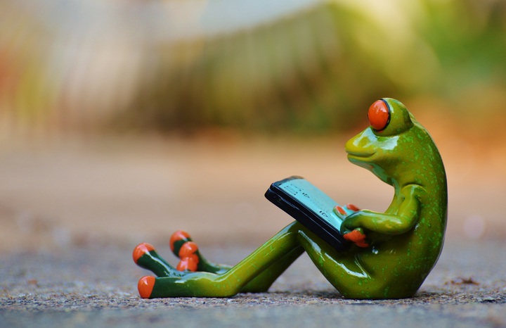 Kikker die ontspannen werkt op een tablet