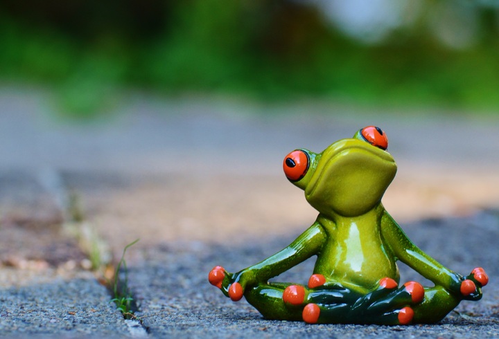 Kikker in gemakkelijke yogahouding