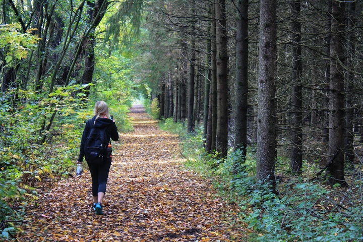 Wandelaar in bos